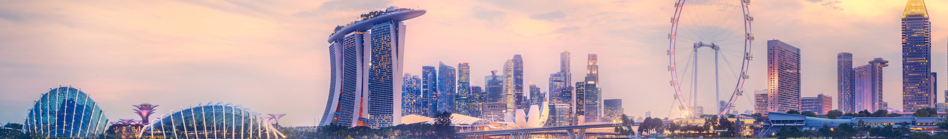 Singapore Skyline Banner